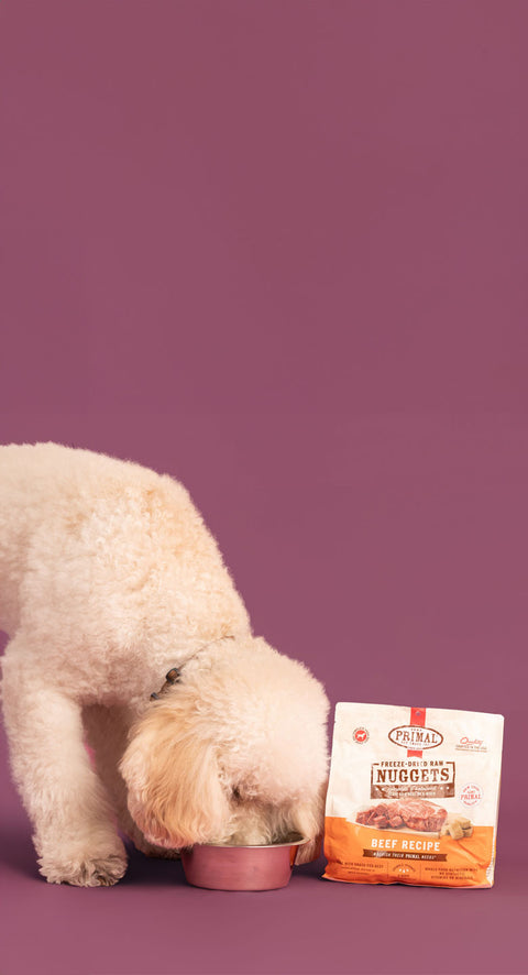 BUY 1, GET 1 50% OFF