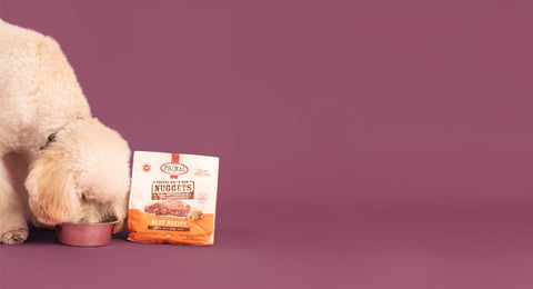 BUY 1, GET 1 50% OFF