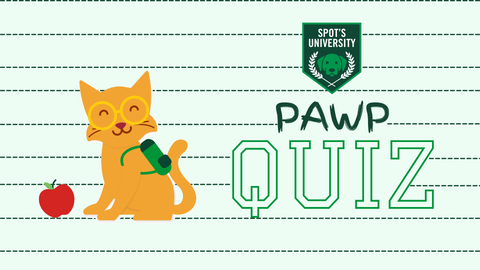 Pawp Quiz #2