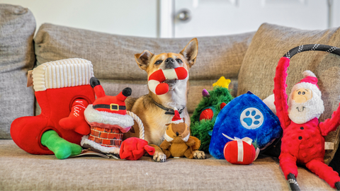 Spot's Howliday Gift Guide