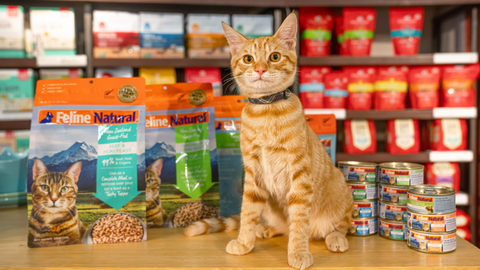 Get To Know K9 Natural and Feline Natural!