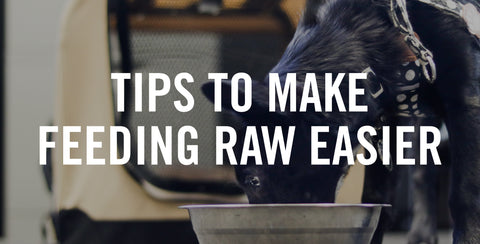 Tips to Make Feeding Raw Food Easier