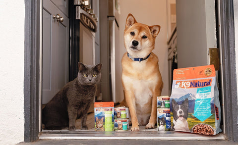 K9 Natural & Feline Natural Refresh & Reformulation