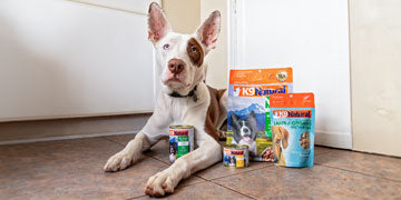 <p>Feed your pup naturally better nutrition with pure ingredients and 90% meat recipes!</p> 