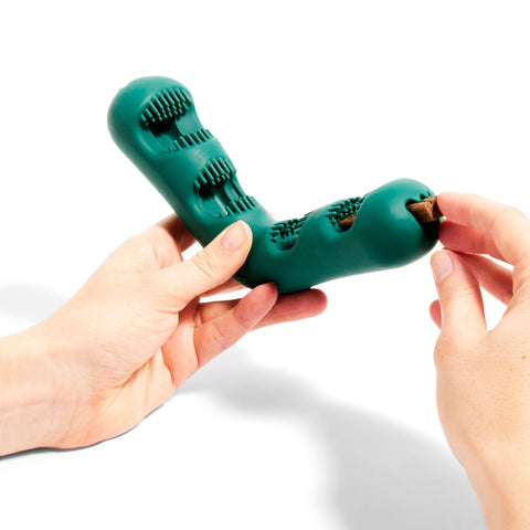 Woof Bite N’ Brush